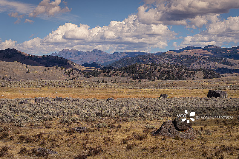 黄石国家公园拉马尔山谷图片素材
