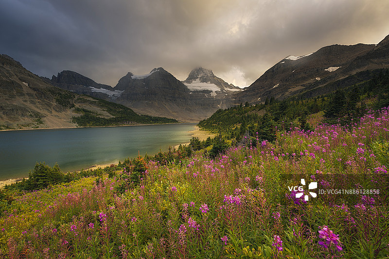 加拿大不列颠哥伦比亚省阿西尼博因山省立公园的暴风雨和柳兰图片素材