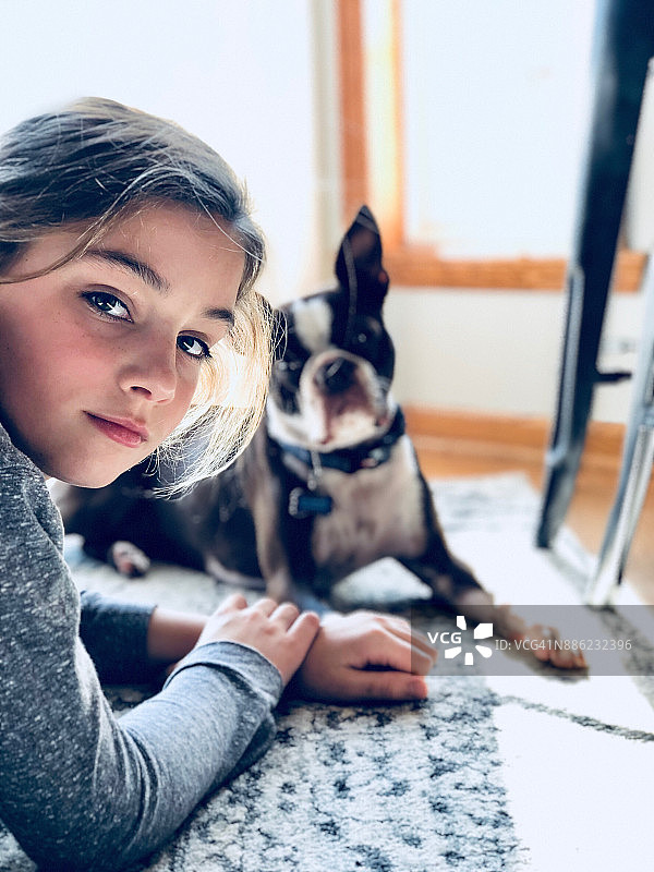 10岁女孩在家里的地板上和波士顿梗犬玩耍图片素材