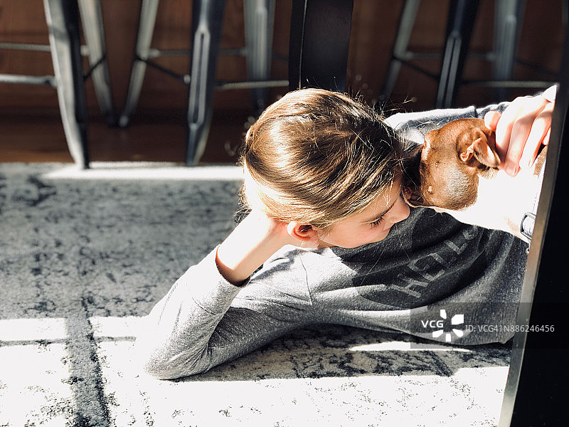 10岁女孩在家里的地板上和波士顿梗犬玩耍图片素材