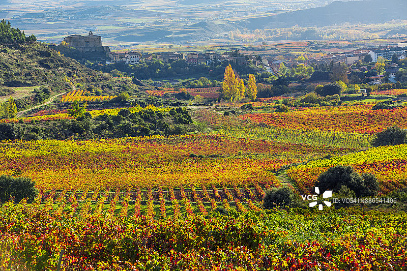 阿拉瓦里奥哈的风景和葡萄园图片素材