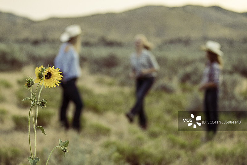 在乡村跳舞的牛仔女郎们图片素材