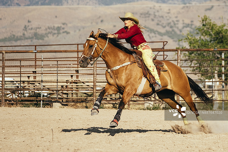 牛仔竞技中的绕桶赛女牛仔图片素材