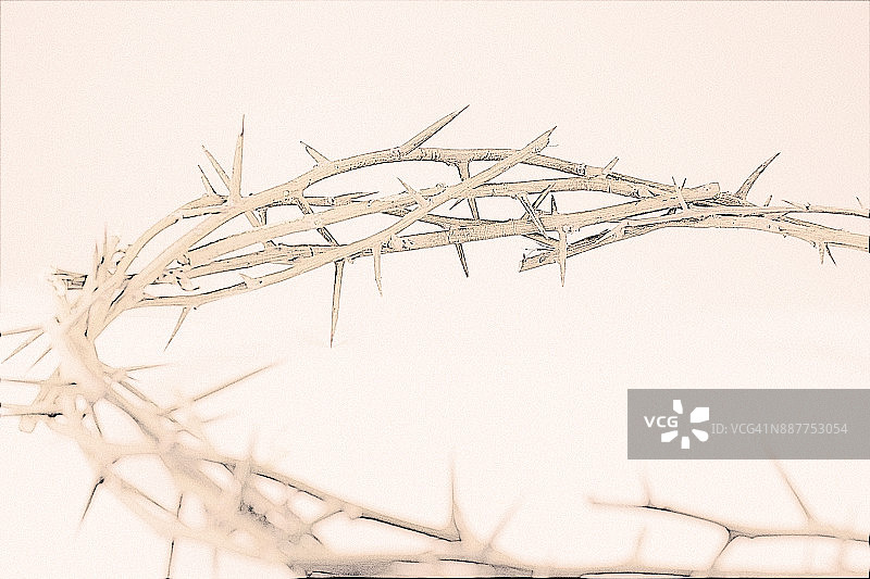 荆棘的冠冕图片素材