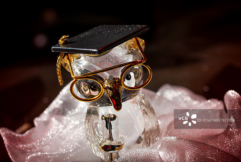 戴着毕业帽的玻璃猫头鹰模型图片素材