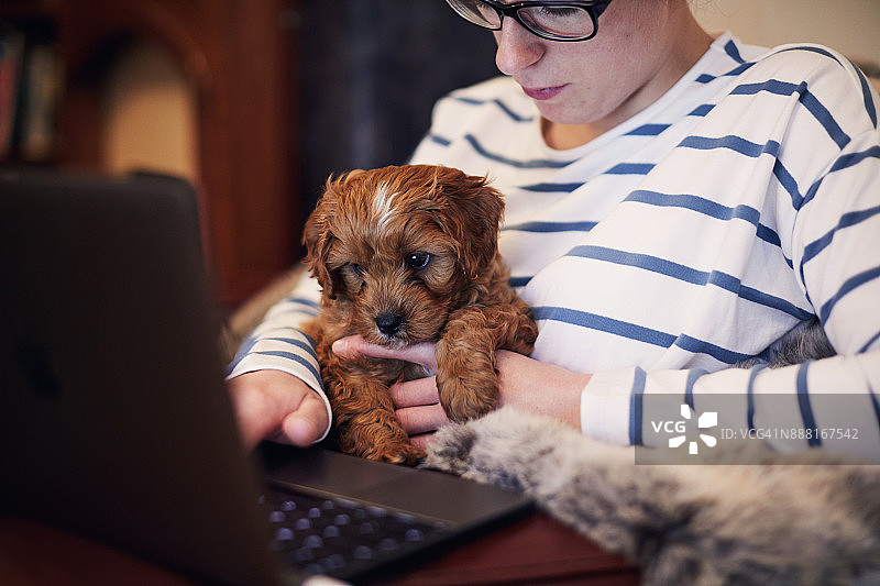 女性与小狗图片素材