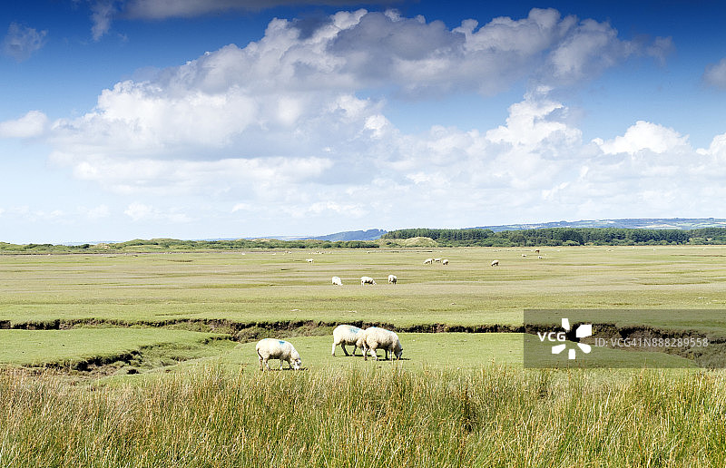 威尔士海岸小径：高尔半岛图片素材