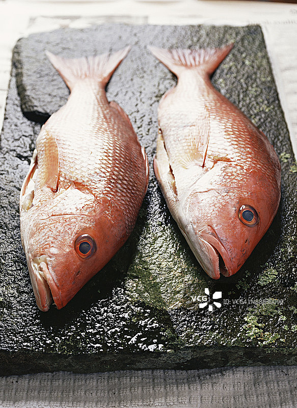 两条红色鲷鱼图片素材