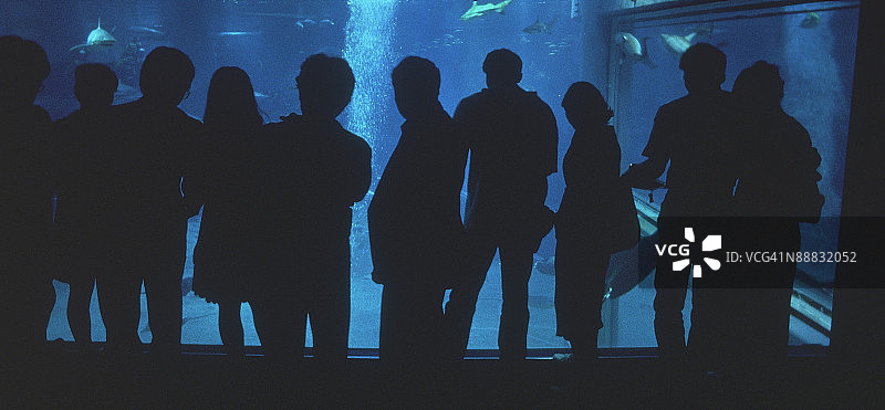 站在水族馆前的人们图片素材