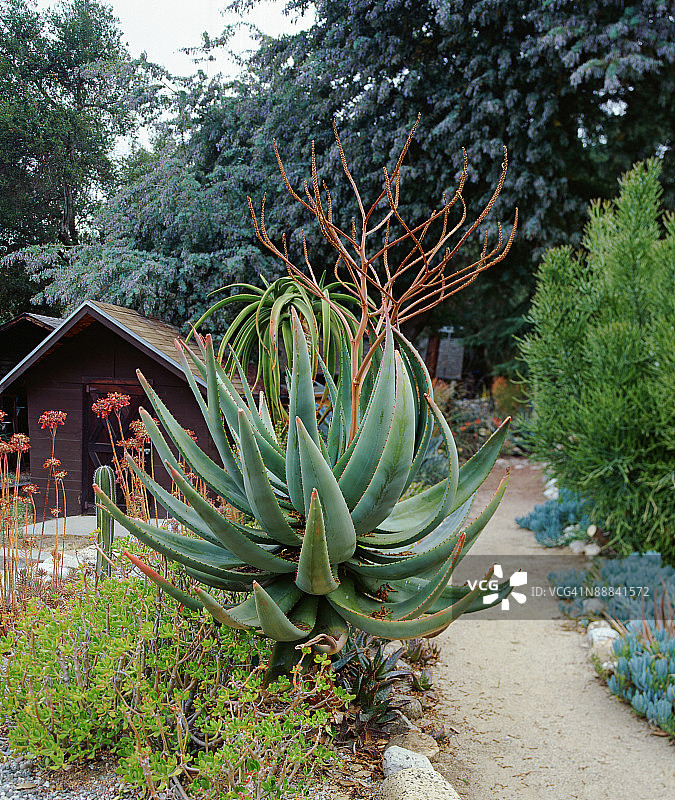 通往花园小屋的小径图片素材