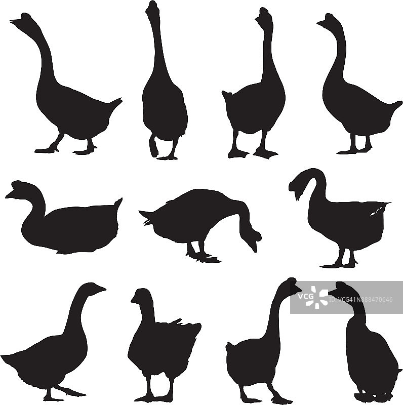 鹅剪影图片素材