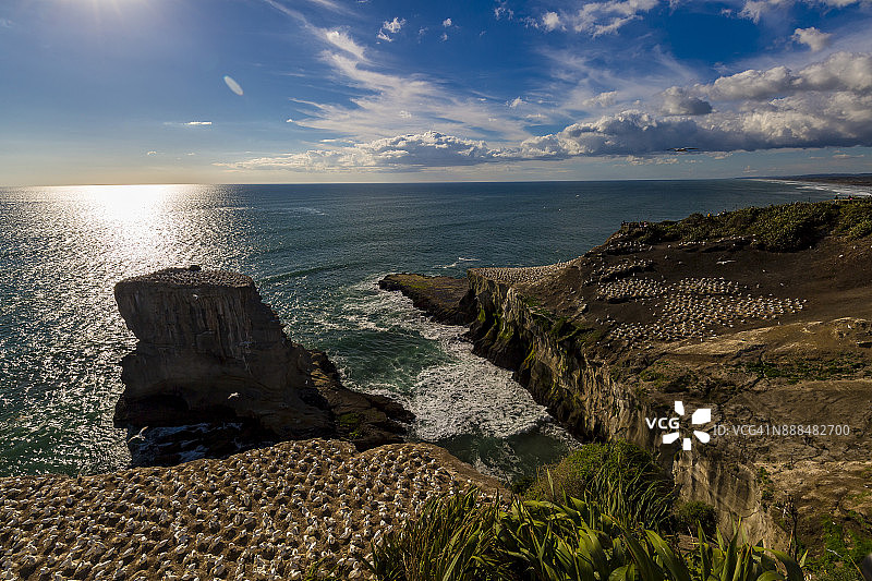 穆里怀塘鹅栖息地图片素材