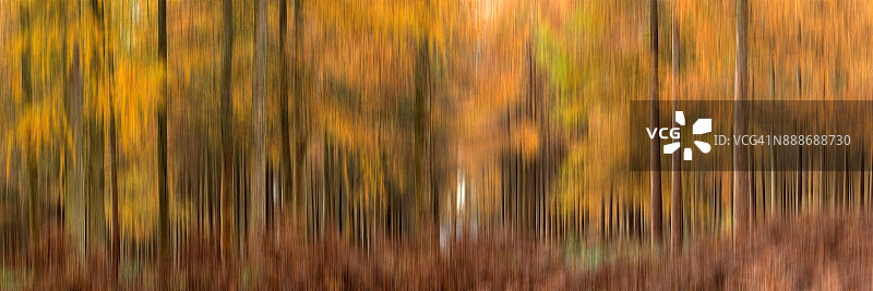 秋季荒野森林图片素材