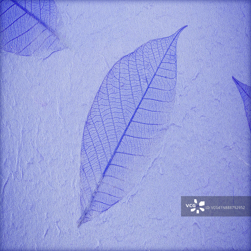 手工桑葚纸树叶背景图片素材