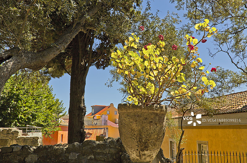 葡萄牙里斯本阿尔法玛区的彩色建筑图片素材