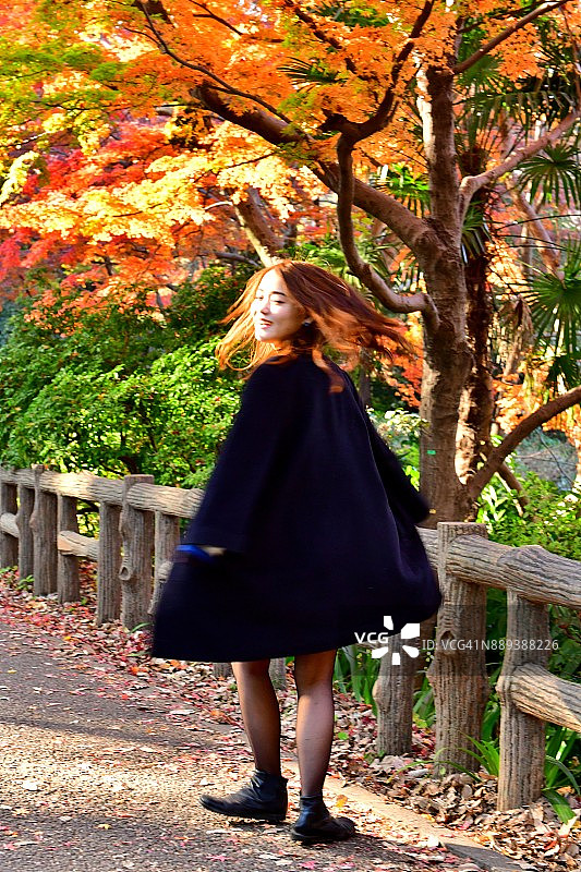 在绚丽的枫树下旋转的年轻日本女子图片素材