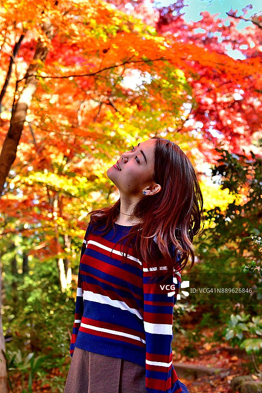 在东京井之头公园美丽的秋叶下的年轻日本女人图片素材