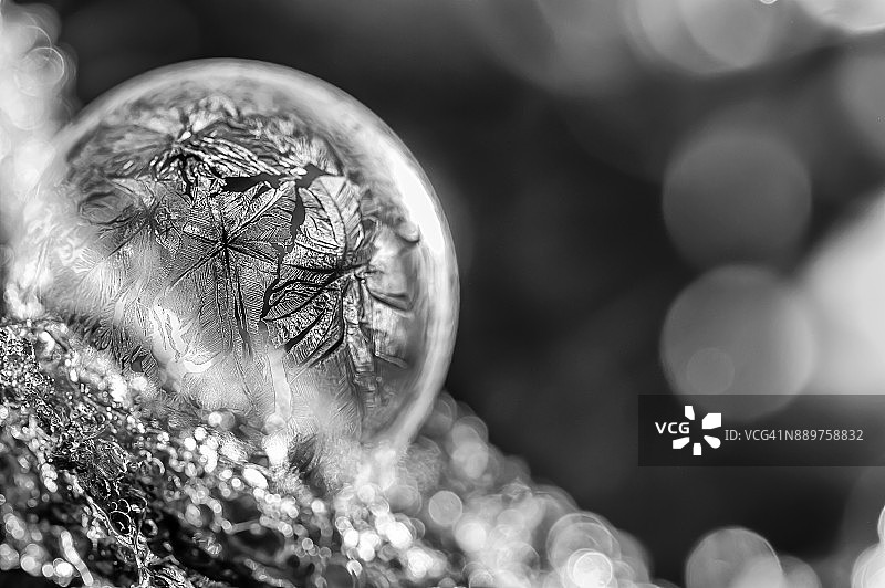 冰冻的泡泡图片素材