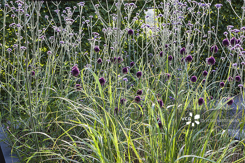 英国威尔士蒙茅斯郡的山间小屋花园图片素材