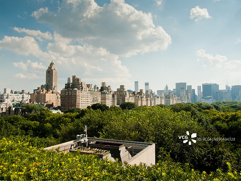中央公园草坪-绵羊草地图片素材