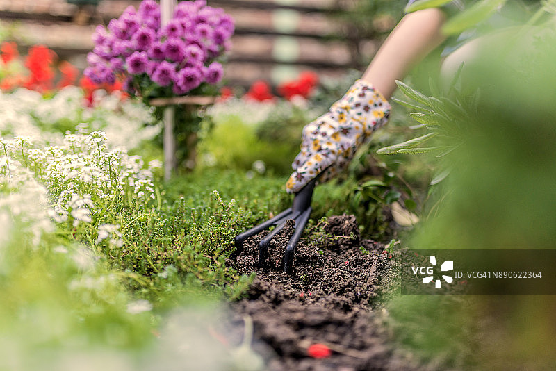 自豪的园丁图片素材