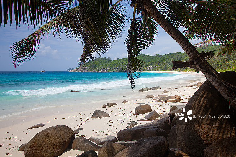 塞舌尔马埃岛安斯因唐丹斯海滩椰子树图片素材