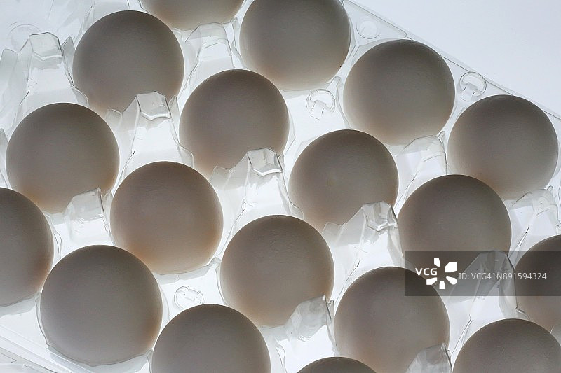 透明塑料容器中的鸡蛋全图图片素材