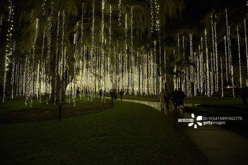 被照亮的小路图片素材