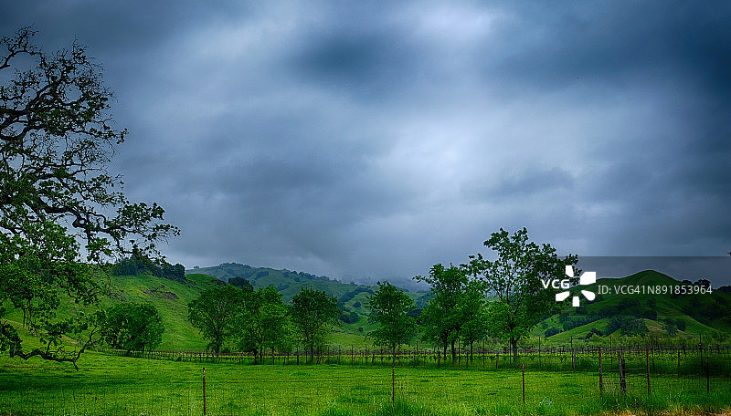 加利福尼亚州纳帕谷的田野图片素材