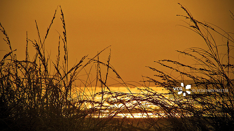 海滩上的黄昏时刻图片素材