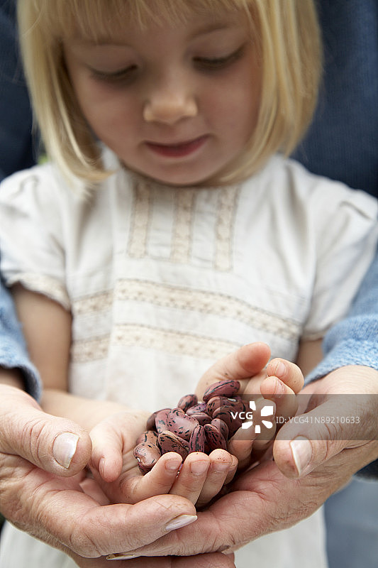 正在看一把豆子的女孩图片素材
