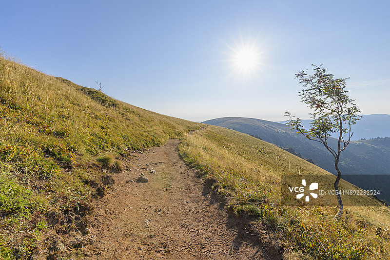法国孚日山脉勒奥内克山区阳光小径图片素材