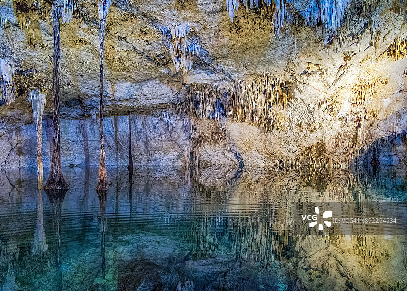 墨西哥尤卡坦半岛玛雅里维埃拉的天坑或岩溶坑图片素材