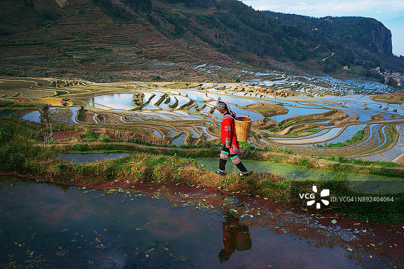 中国云南元阳县的梯田图片素材