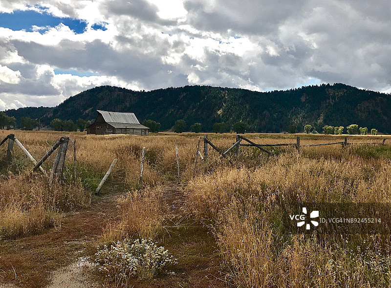 山中的草地6图片素材