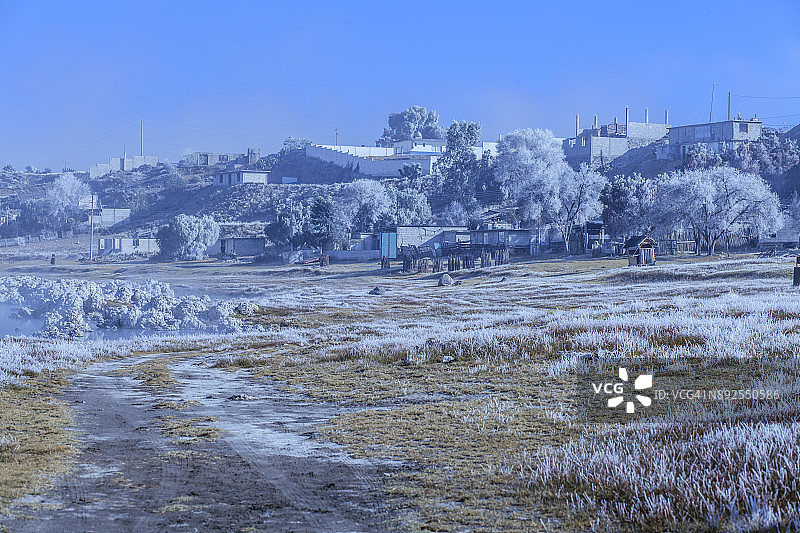 冰冻森林图片素材