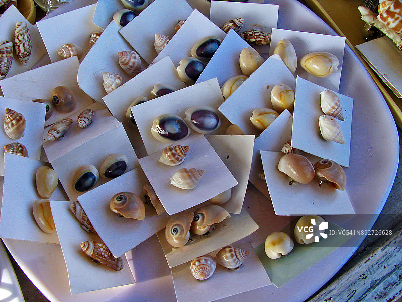 贝壳珠宝与装饰品图片素材