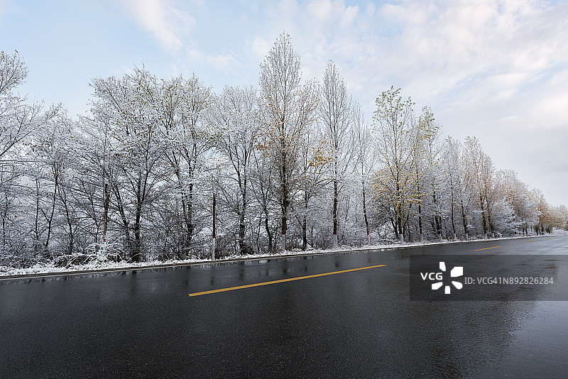 冬季树木旁的湿路图片素材