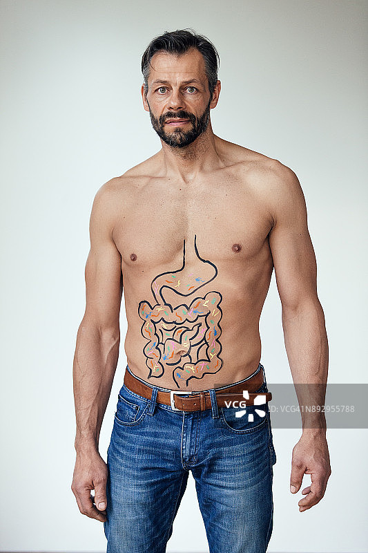 肠道菌群图片素材