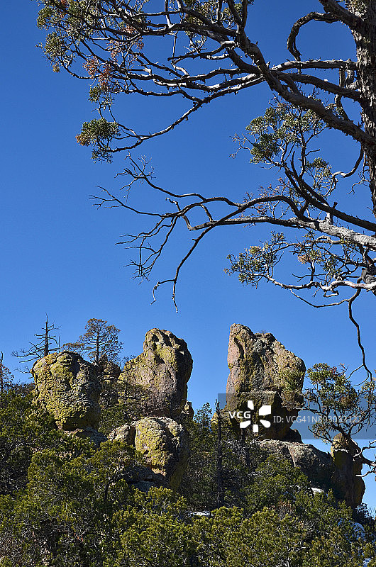 奇里卡瓦国家纪念碑岩石石柱图片素材