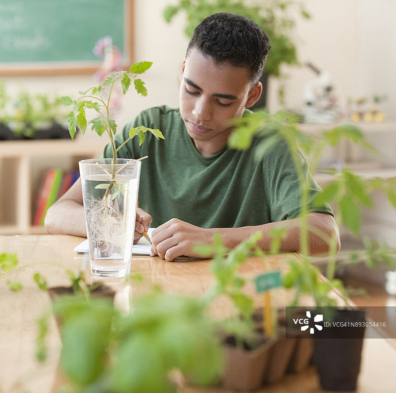 科学课堂植物生物学项目图片素材