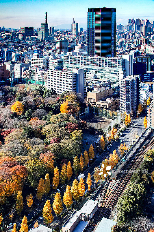 从文京市民中心看到的景色图片素材
