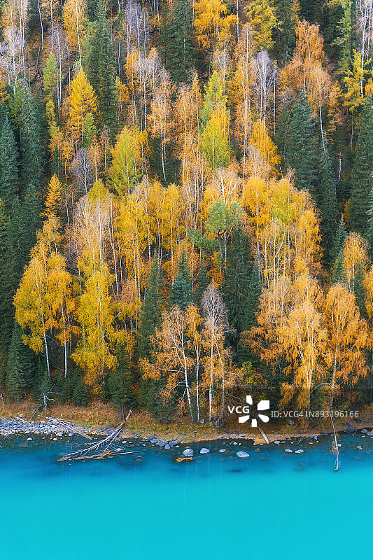 新疆维吾尔自治区喀纳斯月亮湖图片素材