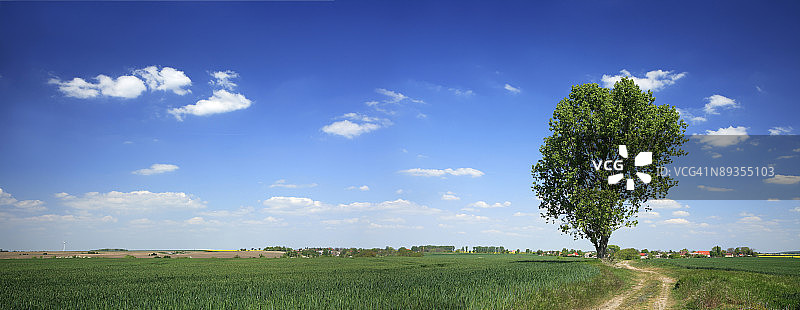 春季景观全景图片素材