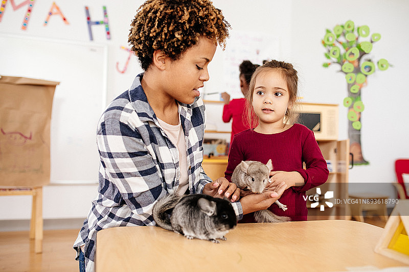 托儿所里的小动物护理图片素材