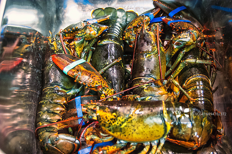 烹饪前准备龙虾图片素材