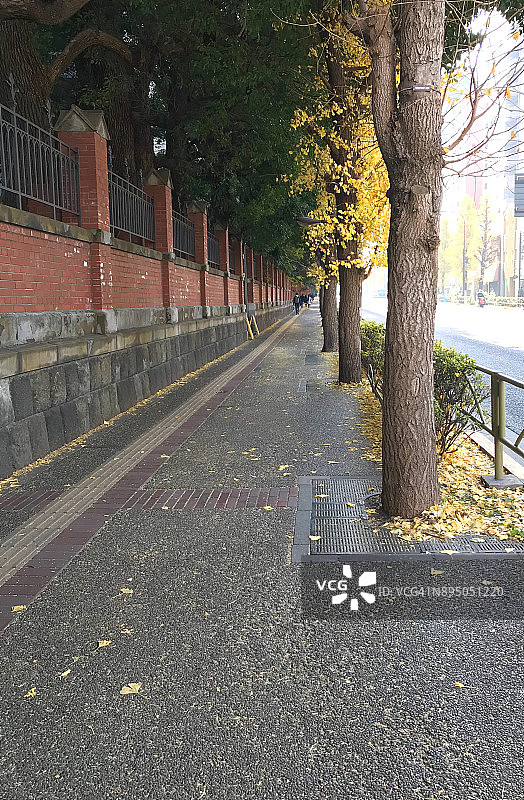 我居住的街道图片素材