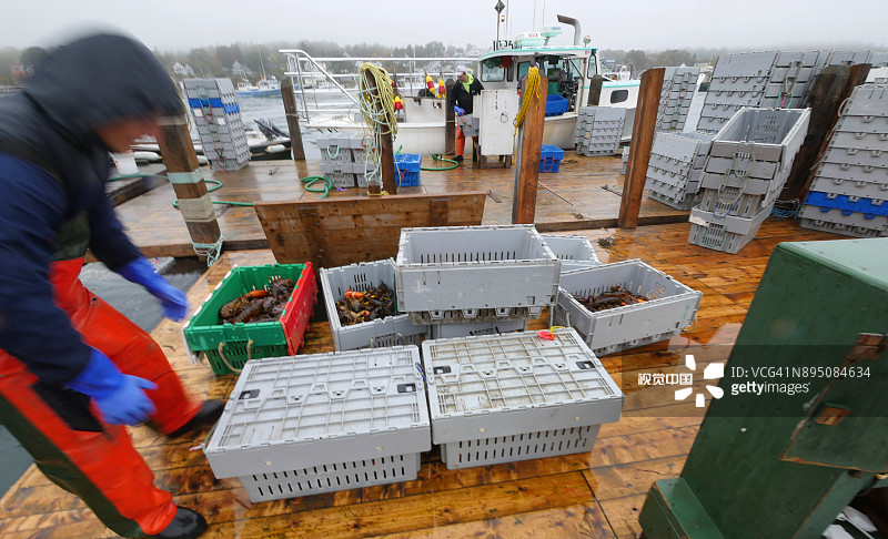 码头上待称重的龙虾集装箱图片素材