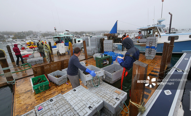 卸载和称重龙虾的码头图片素材