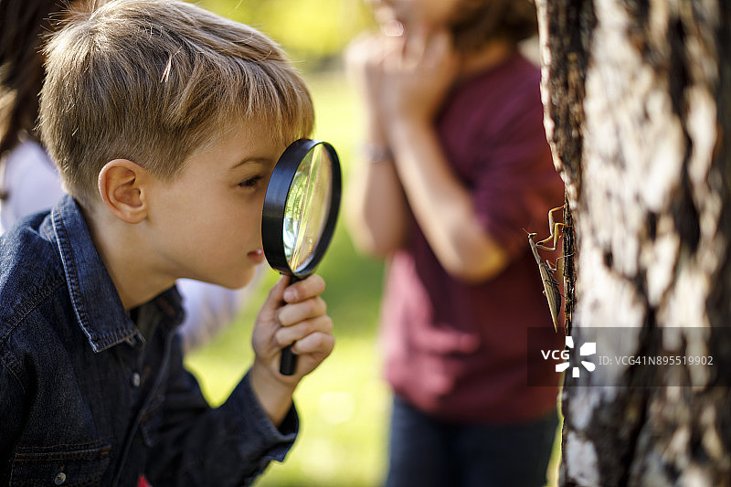 享受发现自然的可爱小男孩图片素材